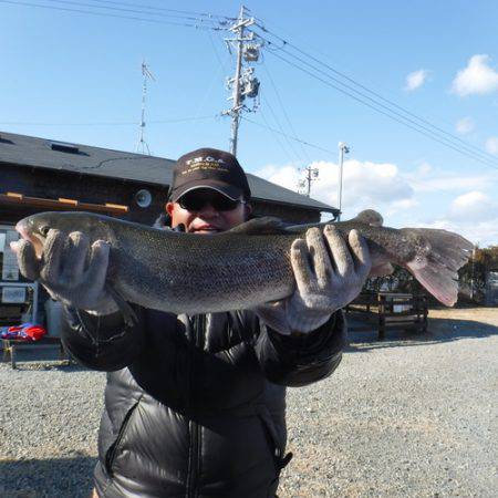 浜名湖フィッシングリゾート 釣果
