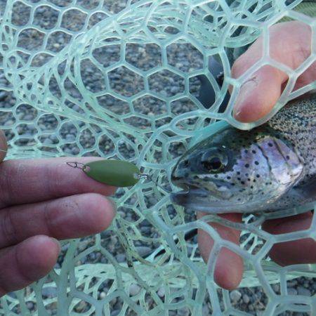 浜名湖フィッシングリゾート 釣果