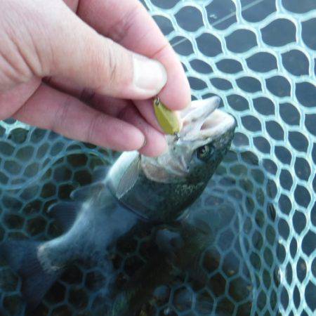 浜名湖フィッシングリゾート 釣果