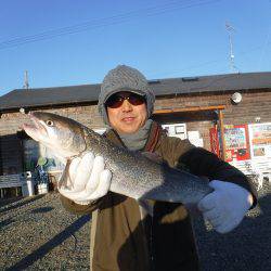 浜名湖フィッシングリゾート 釣果