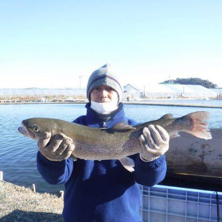浜名湖フィッシングリゾート 釣果
