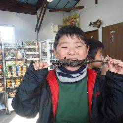 浜名湖フィッシングリゾート 釣果