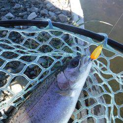 浜名湖フィッシングリゾート 釣果