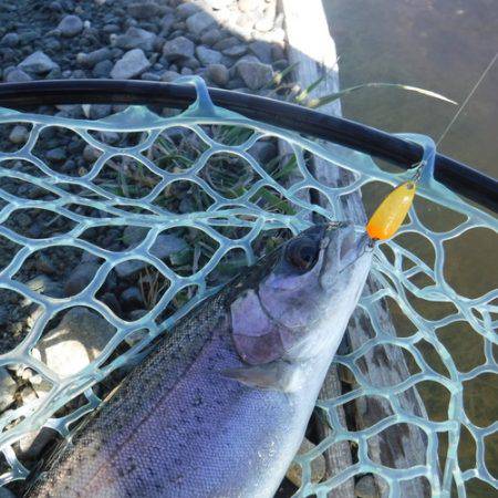 浜名湖フィッシングリゾート 釣果