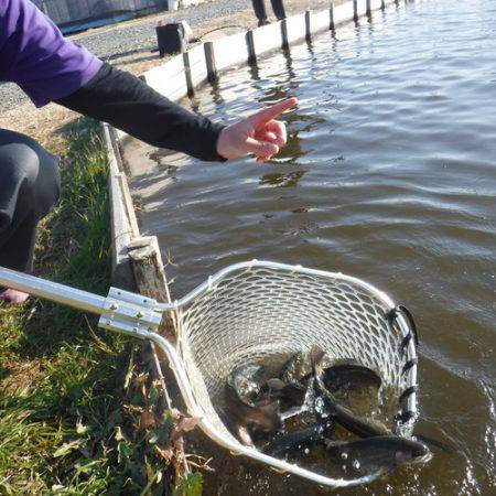 浜名湖フィッシングリゾート 釣果
