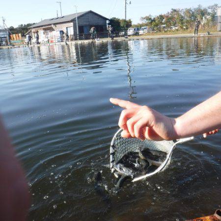 浜名湖フィッシングリゾート 釣果