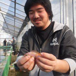 浜名湖フィッシングリゾート 釣果