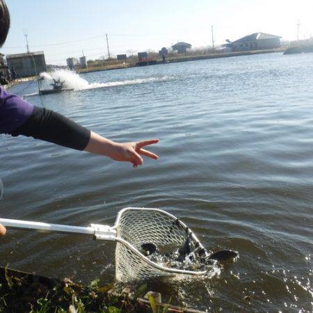 浜名湖フィッシングリゾート 釣果