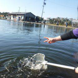 浜名湖フィッシングリゾート 釣果
