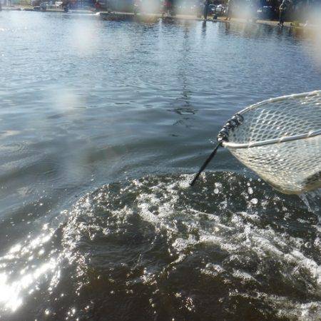 浜名湖フィッシングリゾート 釣果