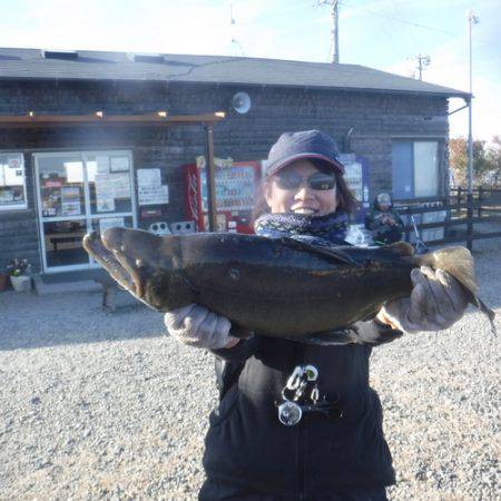 浜名湖フィッシングリゾート 釣果