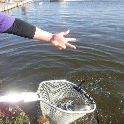 浜名湖フィッシングリゾート 釣果