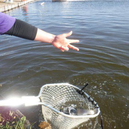 浜名湖フィッシングリゾート 釣果