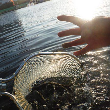 浜名湖フィッシングリゾート 釣果