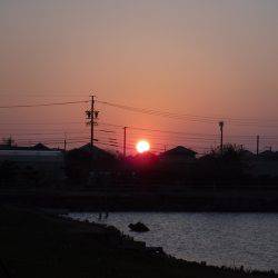 浜名湖フィッシングリゾート 釣果