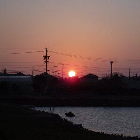 浜名湖フィッシングリゾート 釣果