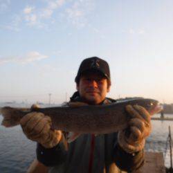 浜名湖フィッシングリゾート 釣果