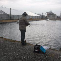 浜名湖フィッシングリゾート 釣果