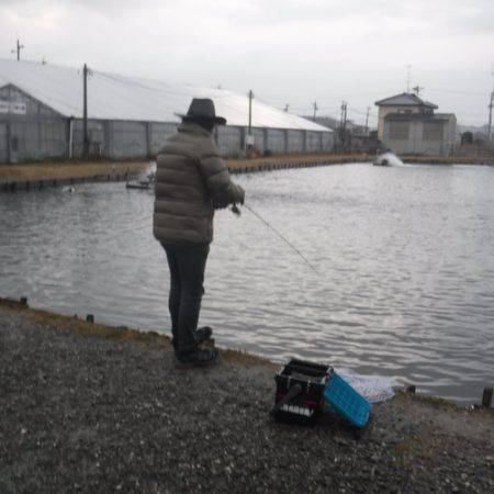 浜名湖フィッシングリゾート 釣果
