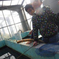 浜名湖フィッシングリゾート 釣果