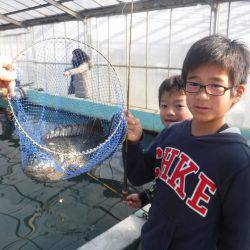 浜名湖フィッシングリゾート 釣果