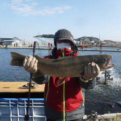 浜名湖フィッシングリゾート 釣果