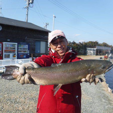 浜名湖フィッシングリゾート 釣果