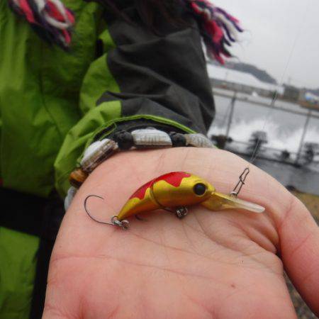 浜名湖フィッシングリゾート 釣果