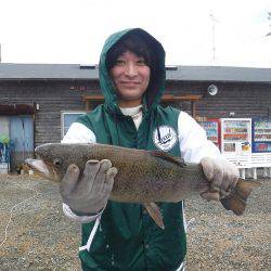 浜名湖フィッシングリゾート 釣果