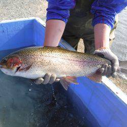 浜名湖フィッシングリゾート 釣果