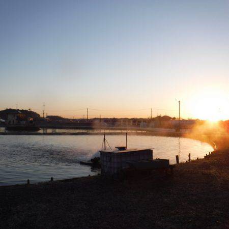 浜名湖フィッシングリゾート 釣果