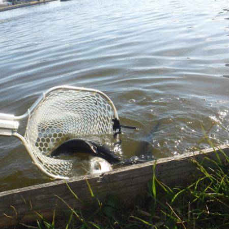 浜名湖フィッシングリゾート 釣果