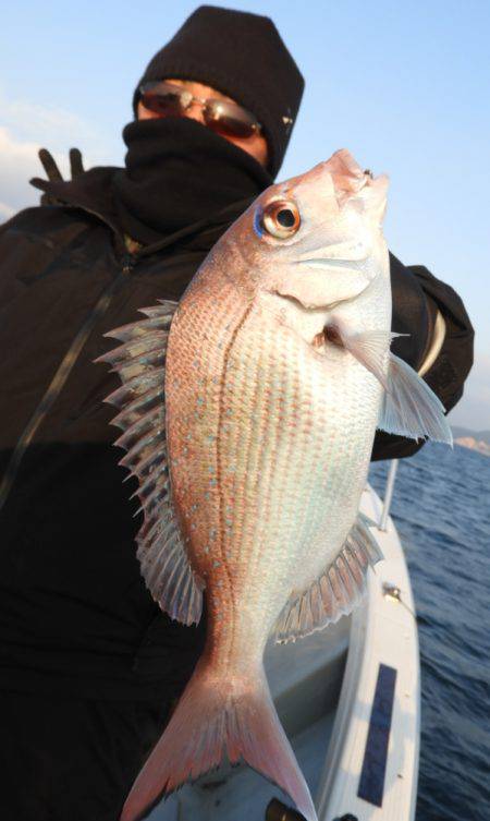 Fisherman Dreams DI 釣…