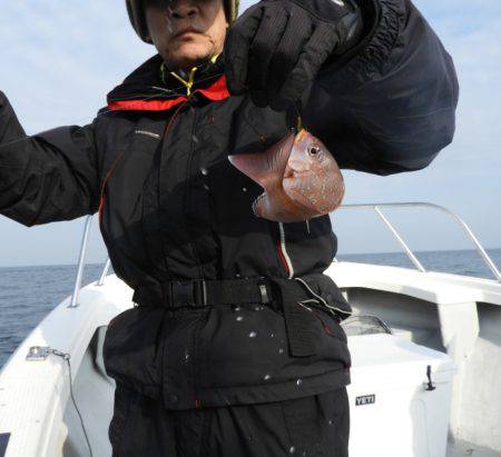 Fisherman Dreams DI 釣果