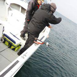 Fisherman Dreams DI 釣果