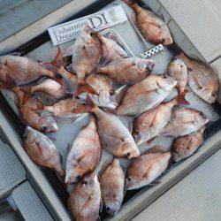 Fisherman Dreams DI 釣果