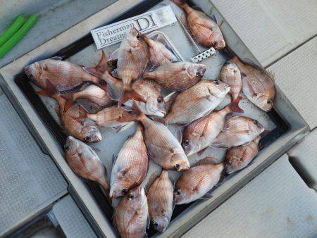 Fisherman Dreams DI 釣果