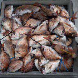 Fisherman Dreams DI 釣果