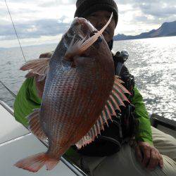 Fisherman Dreams DI 釣果