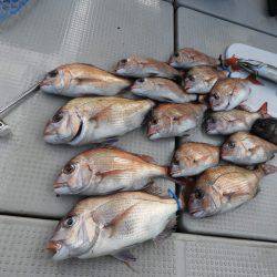 Fisherman Dreams DI 釣果