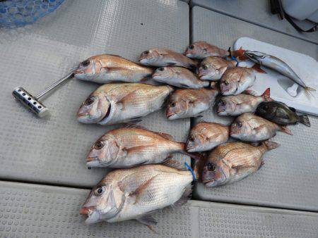 Fisherman Dreams DI 釣果