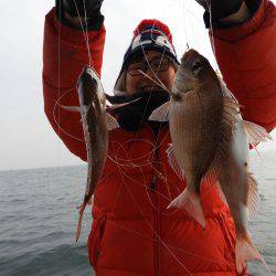 Fisherman Dreams DI 釣果