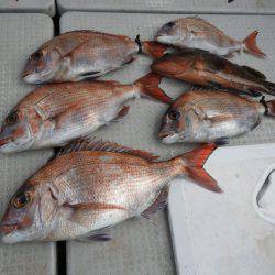 Fisherman Dreams DI 釣果