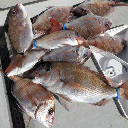 Fisherman Dreams DI 釣果