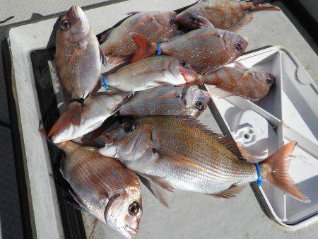 Fisherman Dreams DI 釣果