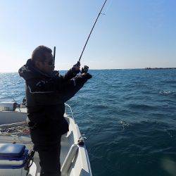 フィッシングボート空風(そらかぜ) 釣果