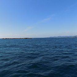 フィッシングボート空風(そらかぜ) 釣果