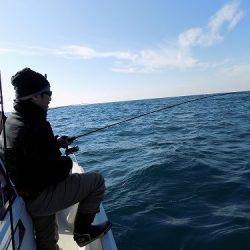 フィッシングボート空風(そらかぜ) 釣果