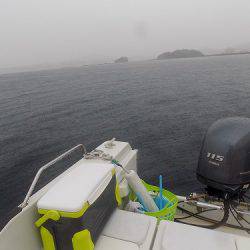 フィッシングボート空風(そらかぜ) 釣果