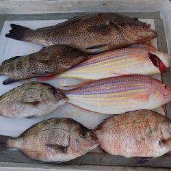 フィッシングボート空風(そらかぜ) 釣果